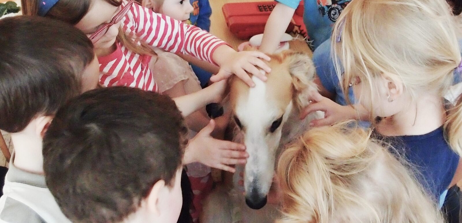 Děti hladí bílého barzoje