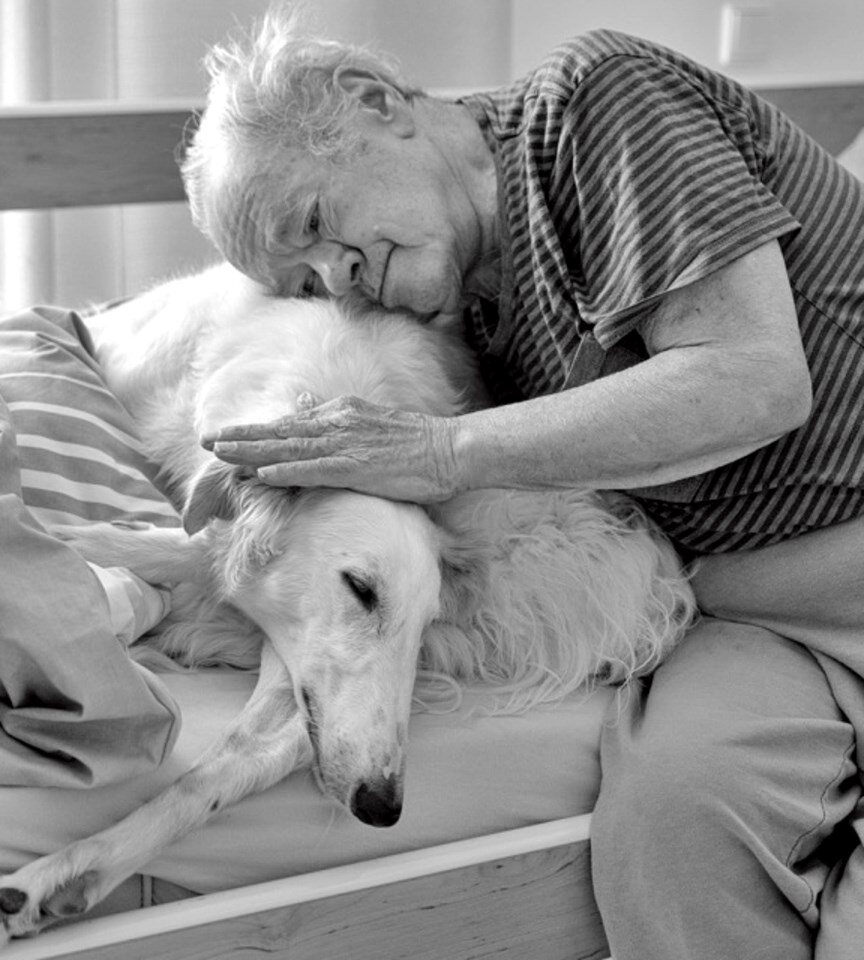 Seniorka objímá bílého barzoje při návštěvě