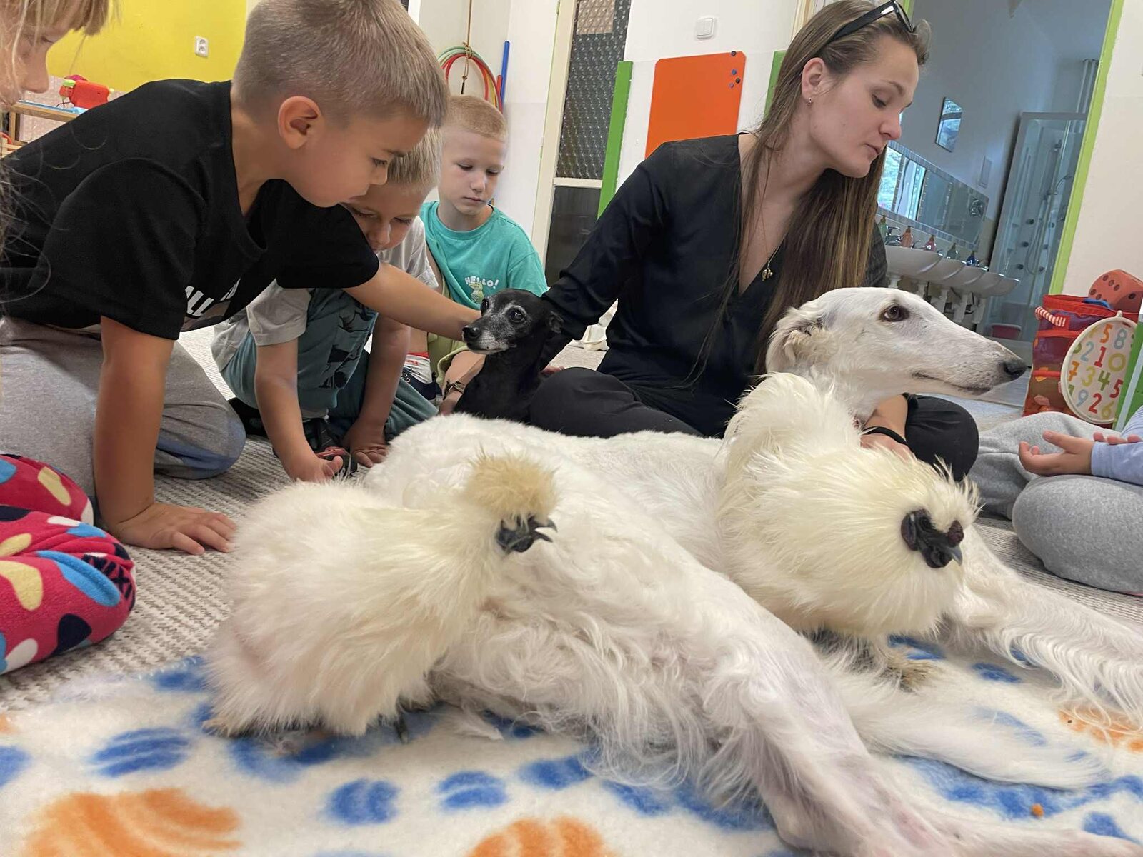 Děti ve školce hladí psa, králíky a další zvířata